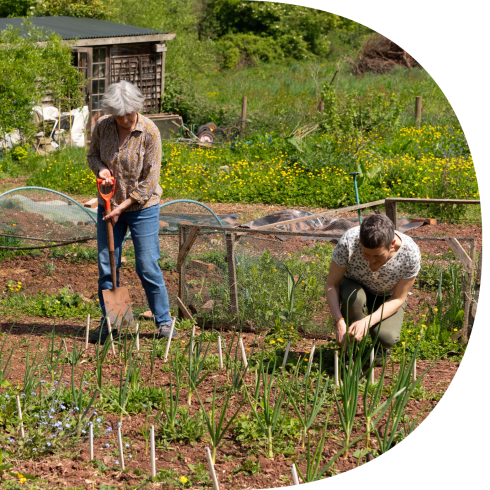 Planting